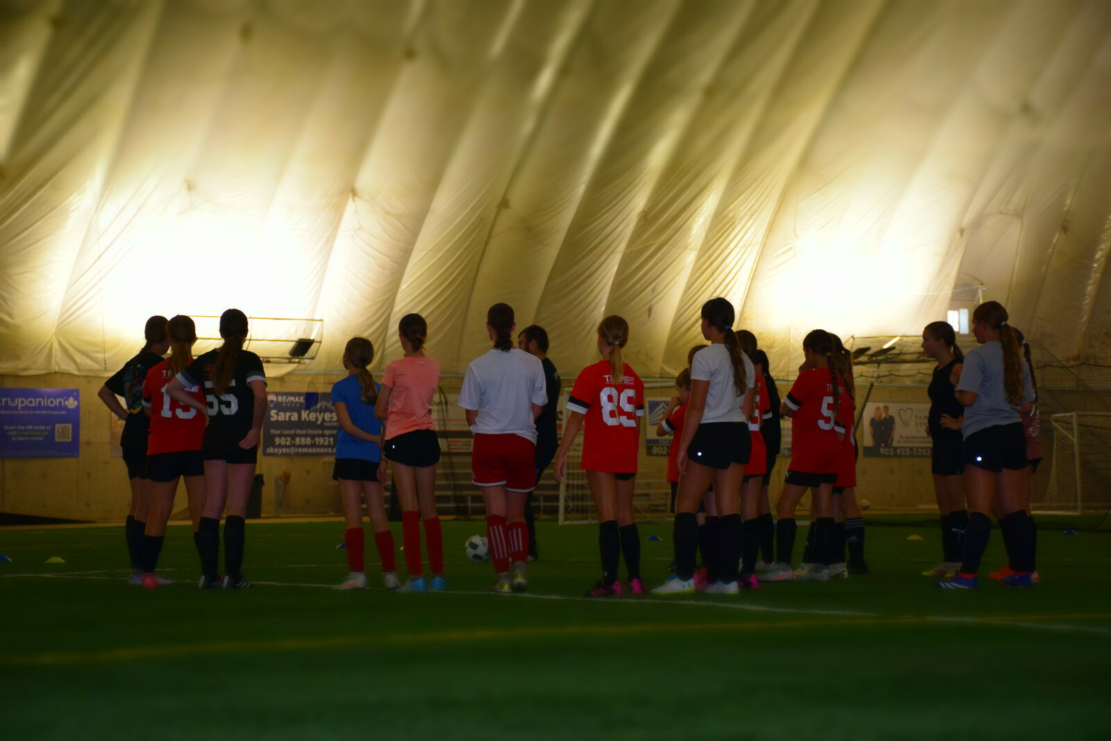 Team Training & Workshops